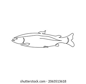 Forellen, Lachs fortlaufende Linienzeichnung. Eine Linie Kunst von Raubfischen, Meeresfrüchten, Meerestieren.