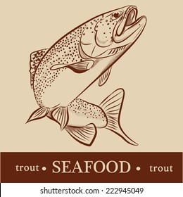 trout  vector detailed