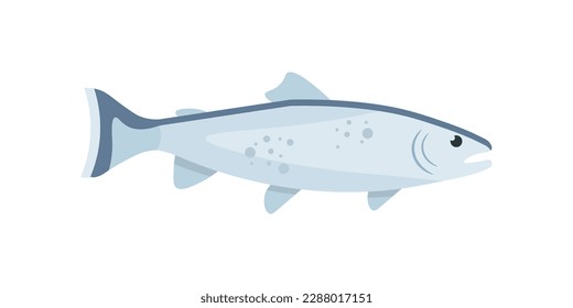Trout vector illustration. Cartoon isolated marine animal and freshwater or sea fish for fishing industry, fresh food ingredient for cooking healthy menu, product of fish shops and market, one trout