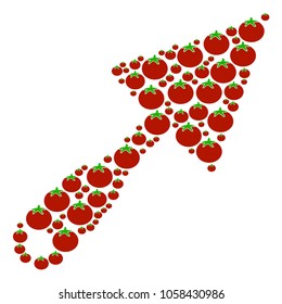 Trowel mosaic of tomato in different sizes. Vector tomato vegetable elements are combined into trowel collage. Organic vector illustration.