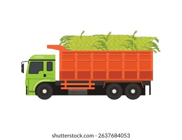 Truck carrying over loaded sugar canes. Simple flat illustration. 