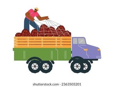 Truck with palm oil fruits flat style, vector illustration isolated on white background. Man closes fruits with net for transportation, decorative design element, palm oil production