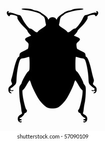 True bug silhouette