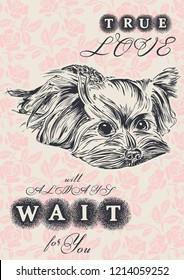 true love will always wait for you, ready design A4 with little nice cute yorkshire terrier, vector illustration