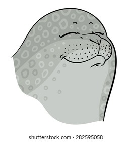 true seal or earless spotted seal  - vector hand drawing illustration