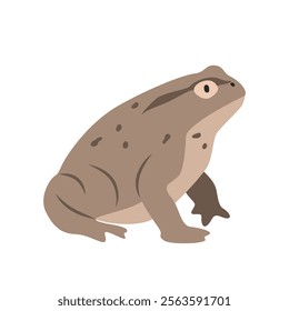 True toad cartoon clipart. Toad vector illustration in flat style. Hand-drawn wild animal concept