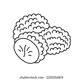 A truffle is the fruiting body. Edible mushrooms. Vector line. Editable outline stroke.