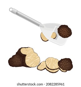 Truffle Fungus Preparation with Slicing Knife Vector Set