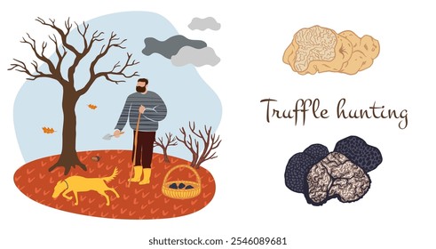 truffle hunt scene with man and dog harvesting mushrooms in a basket. Ideal for advertising banners, posters, articles, and local market decor, capturing the essence of foraging and gourmet cuisine.