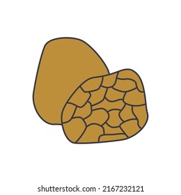 Truffle icon in color, isolated on white background 