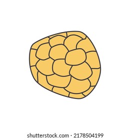 Truffle icon in color, isolated on white background 