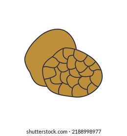 Truffle icon in color, isolated on white background 