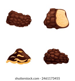 Truffle icons set cartoon vector. Delicacy mushroom black truffle. Rare and expensive vegetable