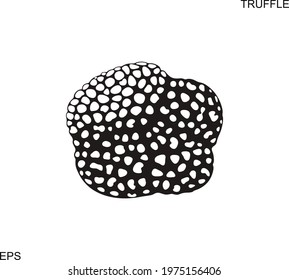 Truffle Logo. Isolated Truffle On White Background