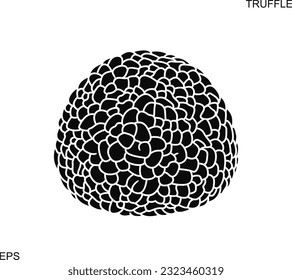 Truffle logo. Isolated truffle on white background