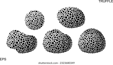 Truffle logo. Isolated truffle on white background