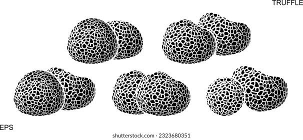 Truffle logo. Isolated truffle on white background