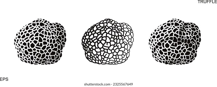 Truffle logo. Isolated truffle on white background