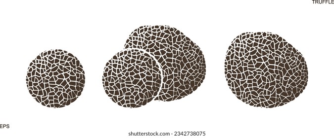 Truffle logo. Isolated truffle on white background