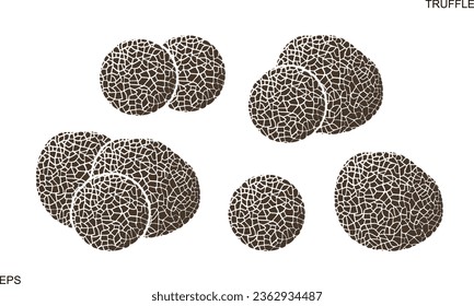 Truffle logo. Isolated truffle on white background