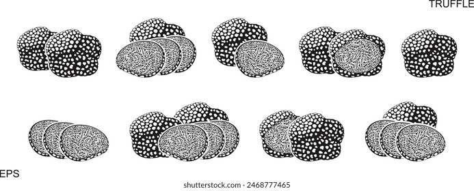 Truffle logo. Isolated truffle on white background