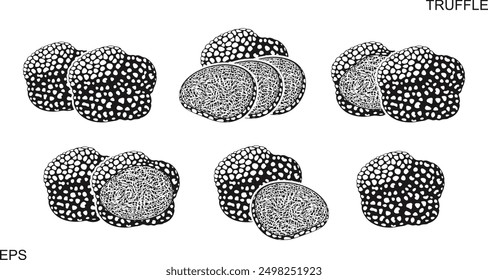 Truffle logo. Isolated truffle on white background