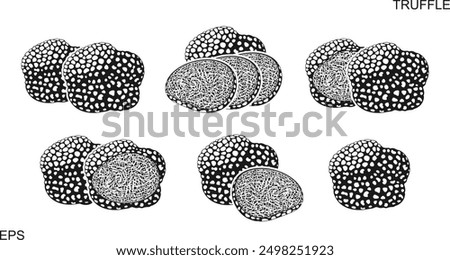 Truffle logo. Isolated truffle on white background