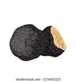 truffle mushroom cartoon vector. cut slice, food ingridient, organic gourmet truffle mushroom sketch. isolated illustration