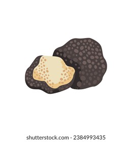 Truffle mushroom. Edible and delicious fungus. Vector cartoon illustration with texture isolated on the white background.