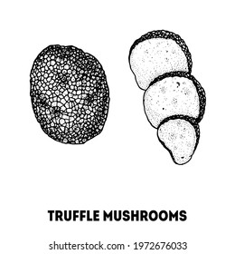 Truffle mushroom hand drawn sketch. Mushroom vector illustration. Organic healthy food. Great for packaging design. Engraved style. Black and white color.