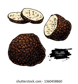 Truffle mushroom hand drawn vector illustration set. Sketch food drawing isolated on white background with sliced pieces. Organic vegetarian product. Great  for menu, label, product packaging, recipe