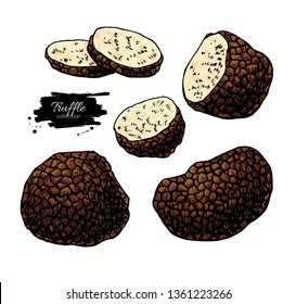 Truffle mushroom hand drawn vector illustration set. Sketch food drawing isolated on white background with sliced pieces. Organic vegetarian product. Great  for menu, label, product packaging, recipe