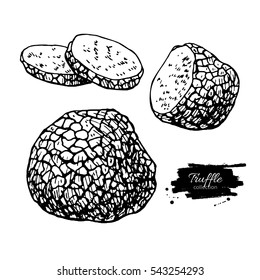 Truffle mushroom hand drawn vector illustration set. Sketch food drawing isolated on white background. Organic vegetarian object. Great  for menu, label, product packaging, recipe