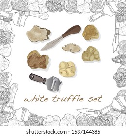 Truffle mushroom illustration on white. Vector image set.