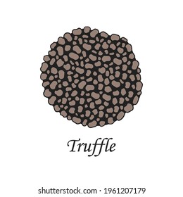 Truffle mushroom isolated on white background, vector illustration in flat design. Hand drawn black truffle mushroom. Luxury and expensive black truffle food, ideal for menu design and restaurants.