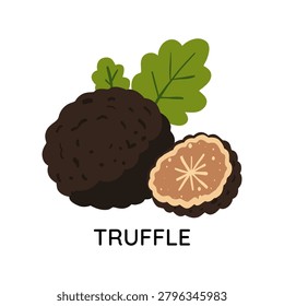 Truffle mushroom, isolated on white background. Suitable for packaging, stickers, informational posters.