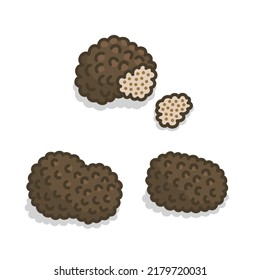 truffle mushroom retro old line art etching vector