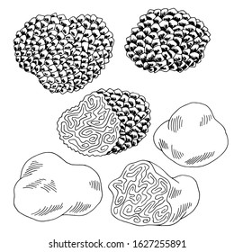 Truffle mushrooms graphic black white isolated sketch set illustration vector