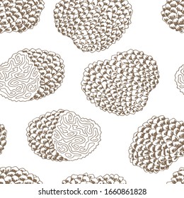 Truffle mushrooms graphic color seamless pattern background sketch illustration vector