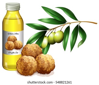 Truffle oil in bottle and fresh vegetables illustration