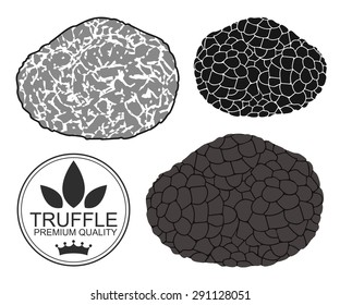 Truffle set. Isolated truffle on white background