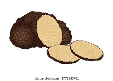 Truffle and Thin Slices as Subterranean Ascomycete Fungus Vector Illustration