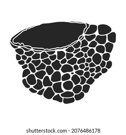 Truffle vector icon.Black vector icon isolated on white background truffle.