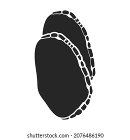 Truffle vector icon.Black vector icon isolated on white background truffle.
