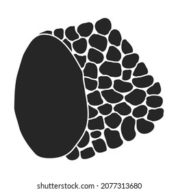 Truffle vector icon.Black vector icon isolated on white background truffle.