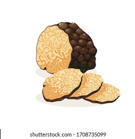 Truffle vector isolated icon. Black truffle mushroom cartoon illustration. Element for packaging design, logo Delicatessen French products.