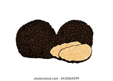  truffles isolated on a white background. Fresh sliced truffle. Delicacy exclusive truffle mushroom. on white background