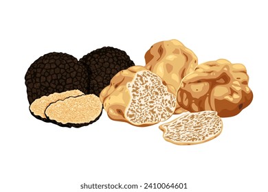  truffles isolated on a white background. Fresh sliced truffle. Delicacy exclusive truffle mushroom. on white background