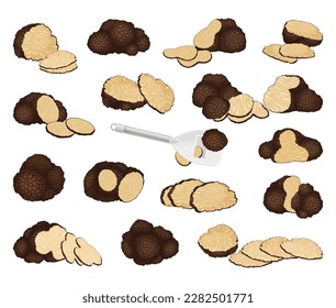 Truffles Mushroom as Delicious Delicacy and Food Vector Set