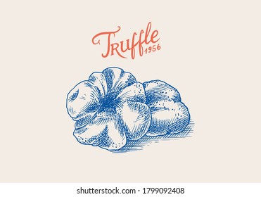 Truffles mushrooms badge or logo. Engraved hand drawn vintage sketch. Ingredient for cooking food. Woodcut style. Vector illustration.